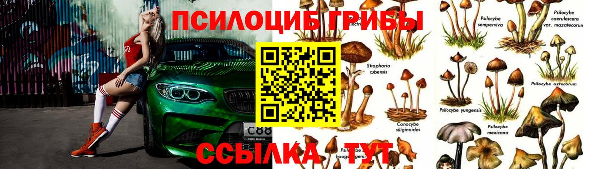 Галлюциногенные грибы мицелий Красный Сулин